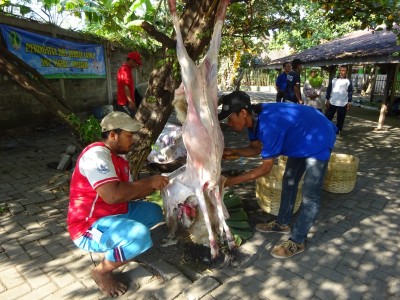 Hari Qurban - Kambing