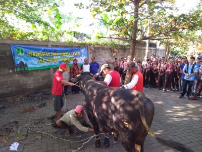 Hari Qurban - Persiapan