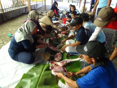 Hari Qurban - Daging Sapi